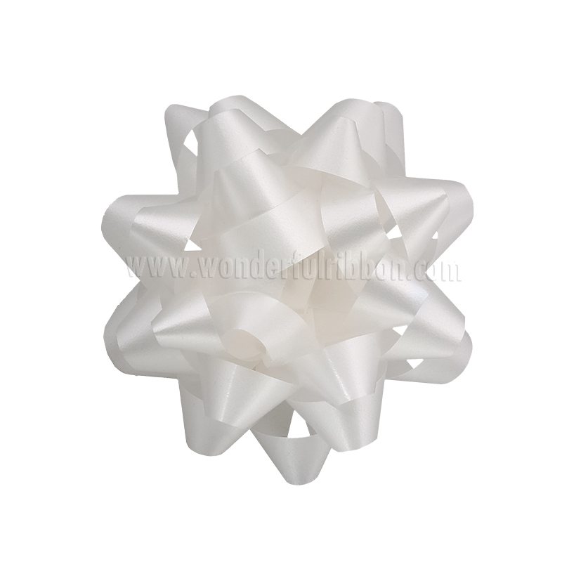 WSB-S-11-Φ4.5 19mm 21tips-005.jpg